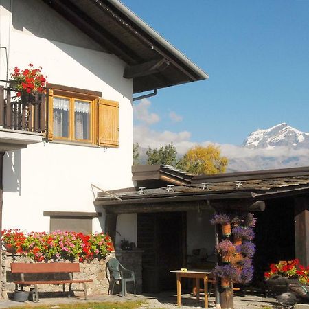 Agriturismo Plan D'Avie Аоста Экстерьер фото